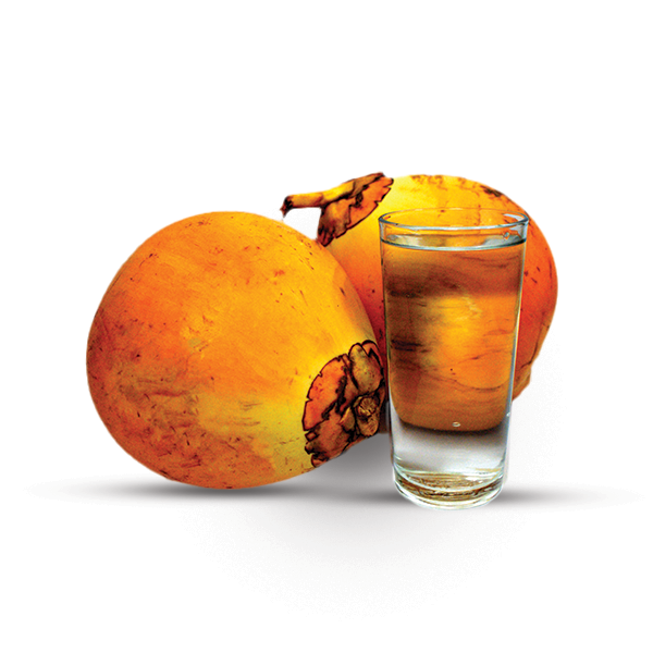 EcoEcho Organic King Coconut Water - 350ml x 6 Combo Deal