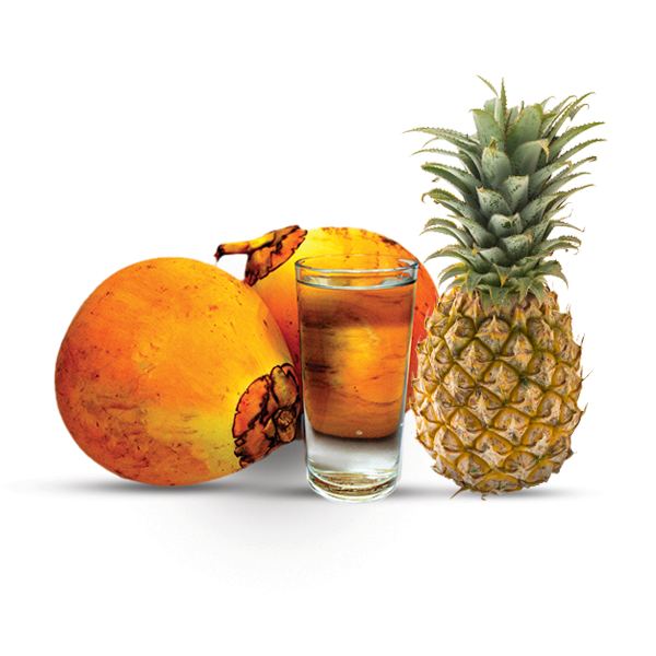EcoEcho Organic Pineapple Infused King Coconut Water - 350ml