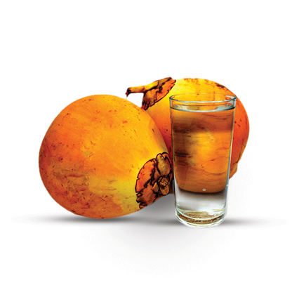 EcoEcho Organic King Coconut Water - 350ml x 6 Combo Deal