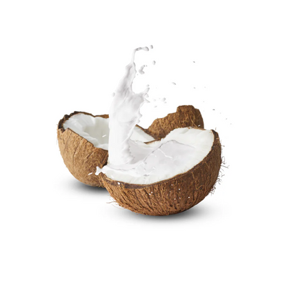 EcoEcho Organic Coco Milk - 17% - 400ml x 6 Combo Deal