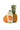 CN Foods Organic Pineapple Infused King Coconut Water - 350ml x 6 Combo Deal
